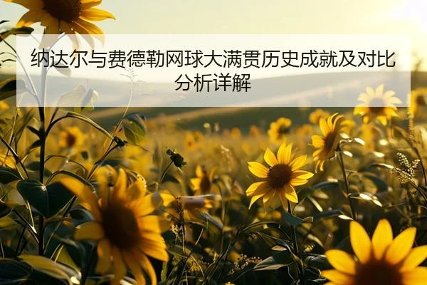 纳达尔与费德勒网球大满贯历史成就及对比分析详解